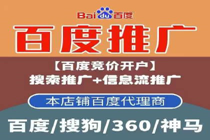 百度搜索引擎优化推广：成功案例揭秘
